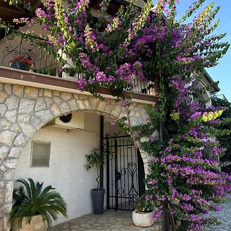 Maria ホームステイ *